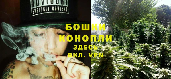 ALPHA PVP Верея